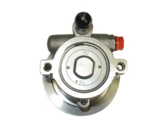 Pompe de direction assistée (Servo direction) GKN ref. 53501