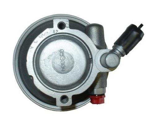 Pompe de direction assistée (Servo direction) GKN ref. 53504