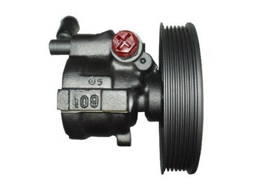 Pompe de direction assistée (Servo direction) GKN ref. 53504