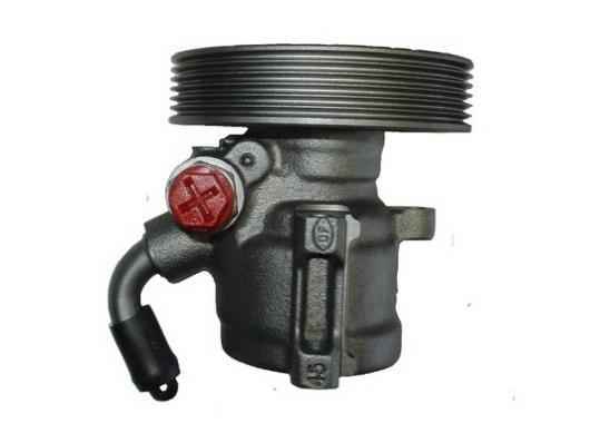 Pompe de direction assistée (Servo direction) GKN ref. 53505