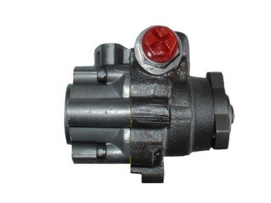 Pompe de direction assistée (Servo direction) GKN ref. 53509