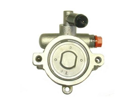 Bomba de direção assistida GKN ref. 53511