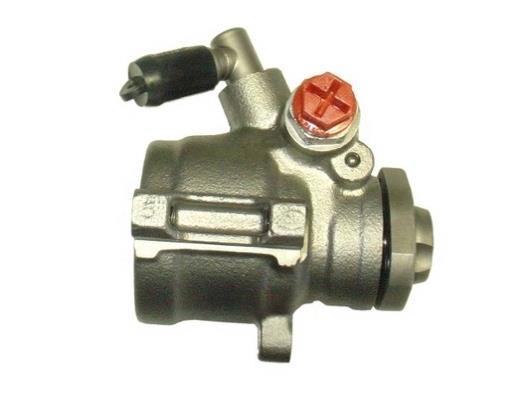 Bomba de direção assistida GKN ref. 53511