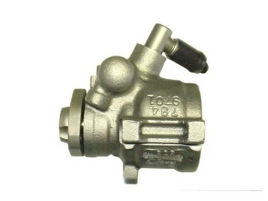 Bomba de direção assistida GKN ref. 53511