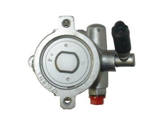 Pompe de direction assistée (Servo direction) GKN 53519