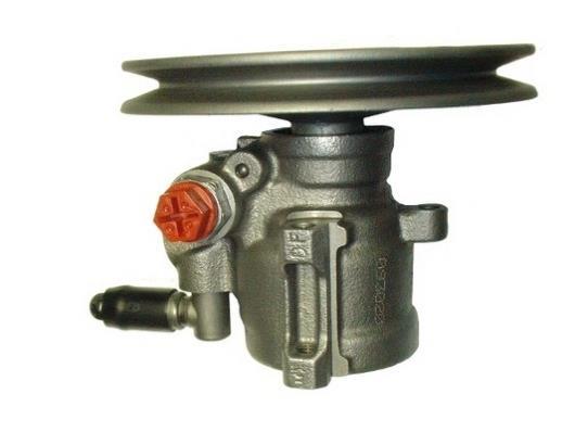 Pompe de direction assistée (Servo direction) GKN 53520