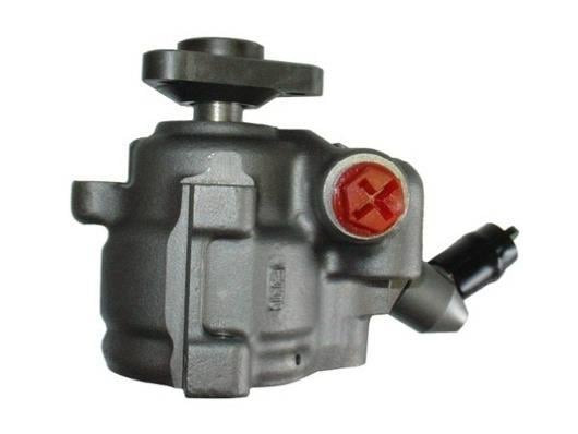 Pompe de direction assistée (Servo direction) GKN 53524