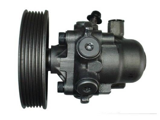 Pompe de direction assistée (Servo direction) GKN 53527
