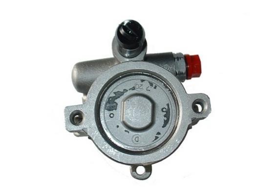 Pompe de direction assistée (Servo direction) GKN 53530