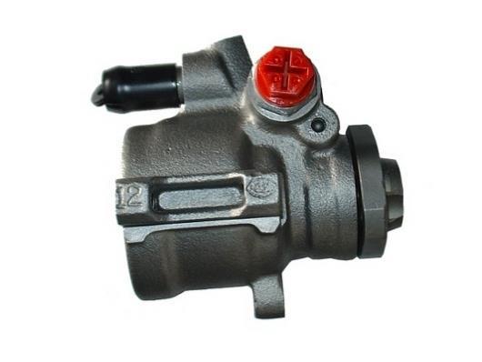 Pompe de direction assistée (Servo direction) GKN 53530