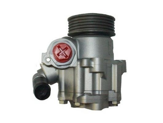Pompe de direction assistée (Servo direction) GKN 53533