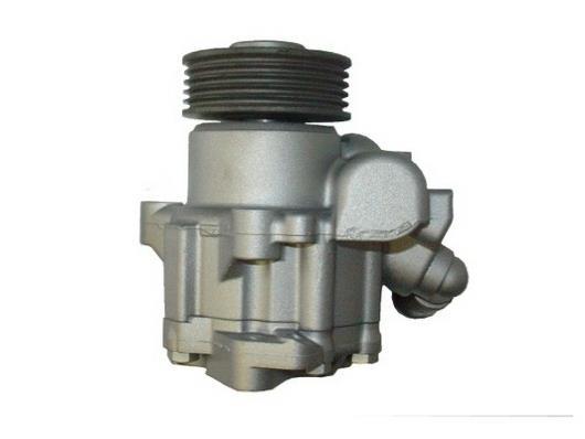 Pompe de direction assistée (Servo direction) GKN 53533