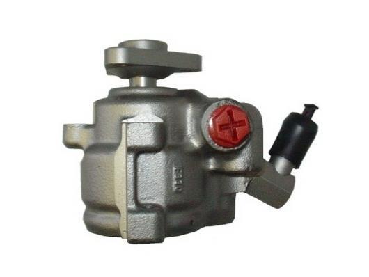 Pompe de direction assistée (Servo direction) GKN 53534