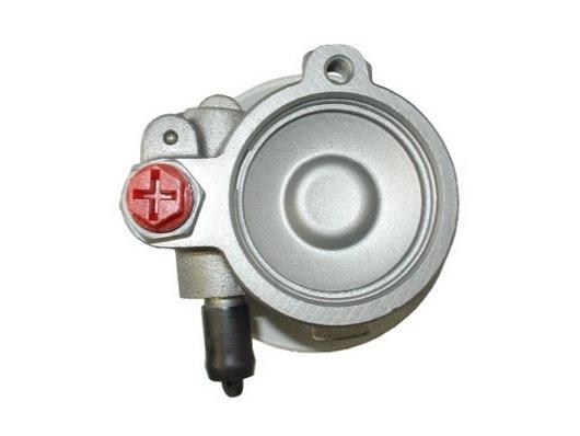 Pompe de direction assistée (Servo direction) GKN 53547