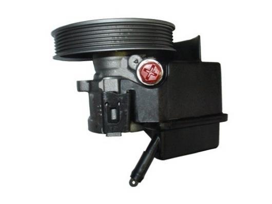 Pompe de direction assistée (Servo direction) GKN 53548