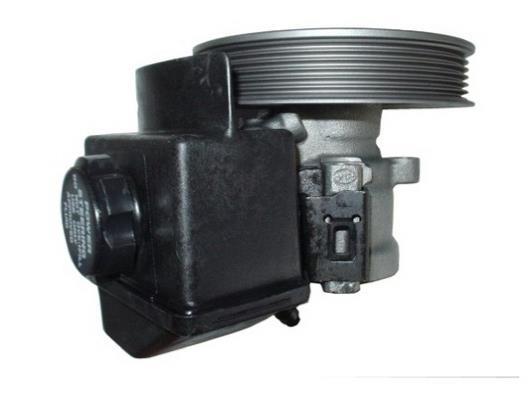 Pompe de direction assistée (Servo direction) GKN 53548