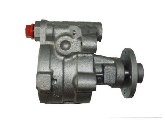 Pompe de direction assistée (Servo direction) GKN 53556