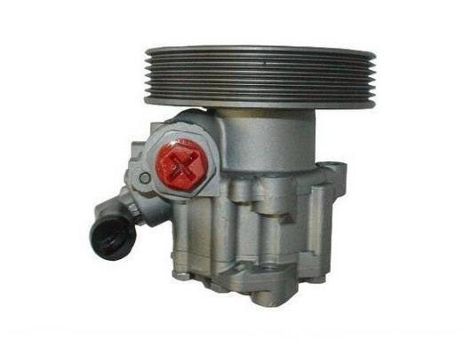 Pompe de direction assistée (Servo direction) GKN 53561