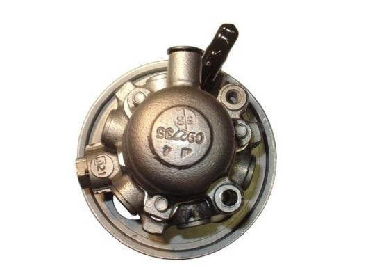 Pompe de direction assistée (Servo direction) GKN ref. 53576