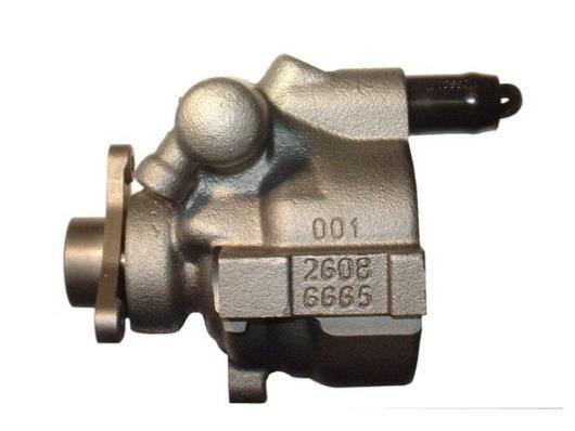 Pompe de direction assistée (Servo direction) GKN 53579