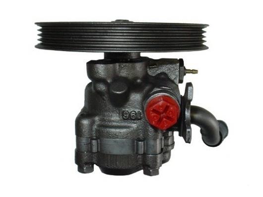 Pompe de direction assistée (Servo direction) GKN ref. 53589