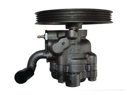 Pompe de direction assistée (Servo direction) GKN ref. 53589