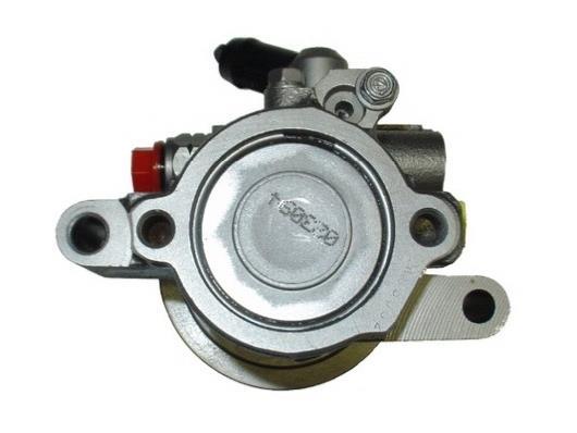 Pompe de direction assistée (Servo direction) GKN ref. 53594