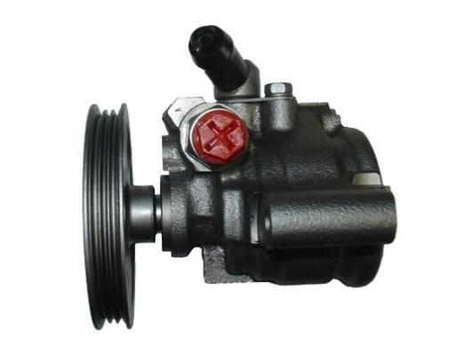 Pompe de direction assistée (Servo direction) GKN ref. 53594