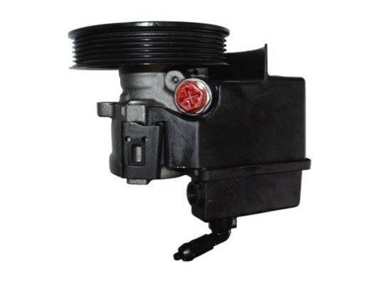 Pompe de direction assistée (Servo direction) GKN ref. 53597
