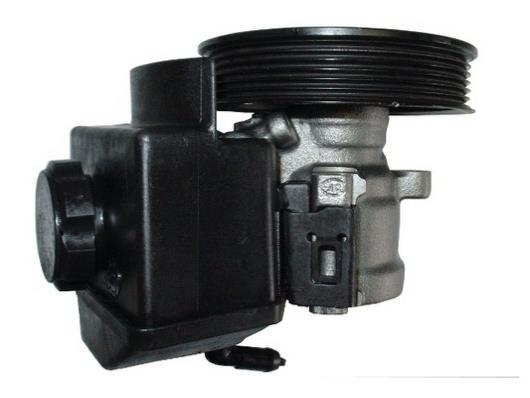 Pompe de direction assistée (Servo direction) GKN ref. 53597