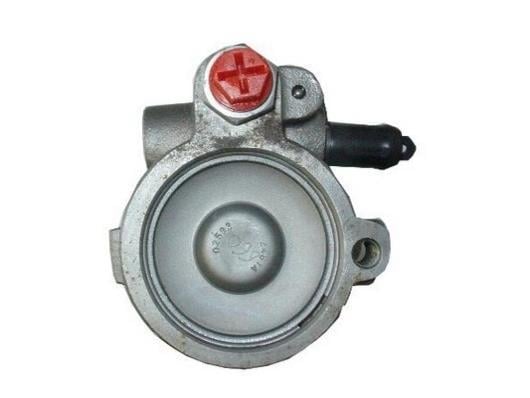 Pompe de direction assistée (Servo direction) GKN 53599