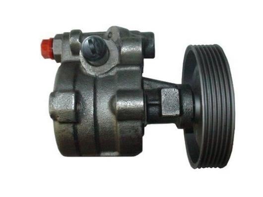 Pompe de direction assistée (Servo direction) GKN 53599