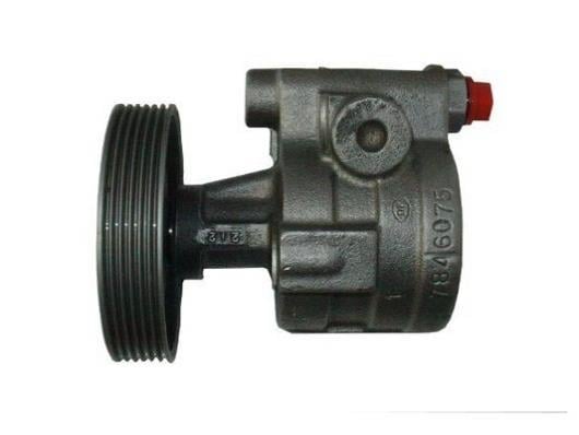 Pompe de direction assistée (Servo direction) GKN 53599