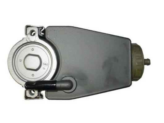 Pompe de direction assistée (Servo direction) GKN 53601