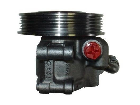 Pompe de direction assistée (Servo direction) GKN ref. 53603