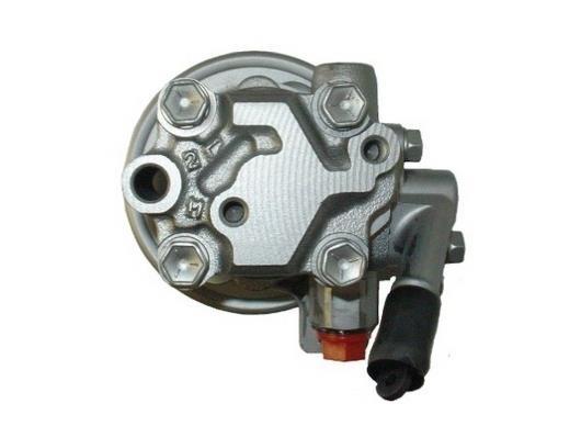 Pompe de direction assistée (Servo direction) GKN 53609