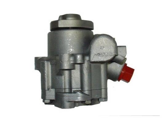 Pompe de direction assistée (Servo direction) GKN 53611