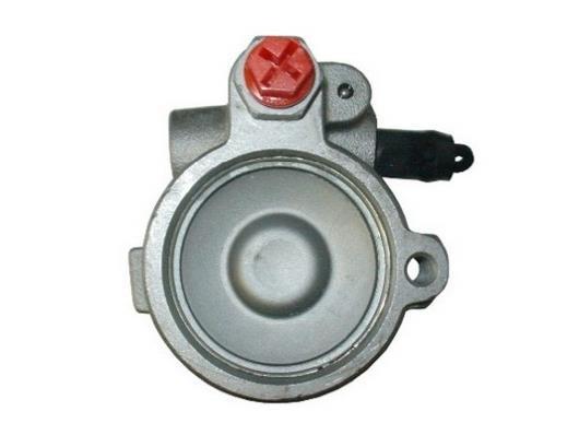 Pompe de direction assistée (Servo direction) GKN ref. 53785