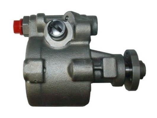 Pompe de direction assistée (Servo direction) GKN ref. 53785
