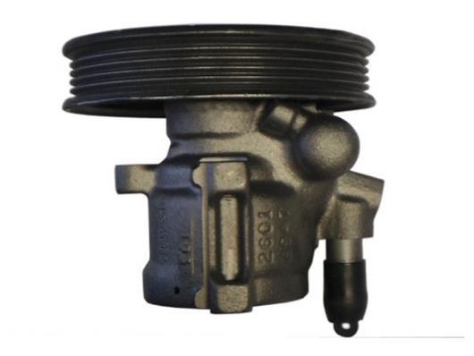 Pompe de direction assistée (Servo direction) GKN ref. 53619
