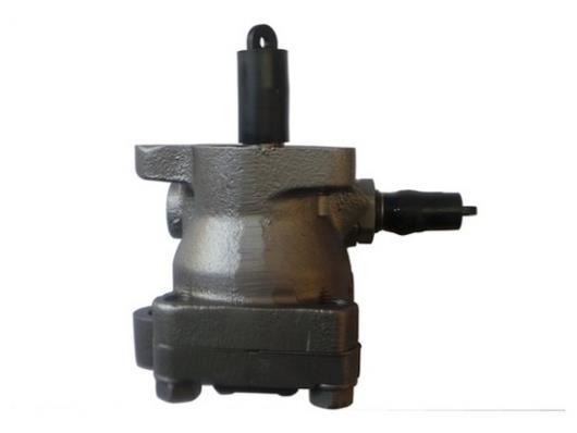 Pompe de direction assistée (Servo direction) GKN ref. 53624