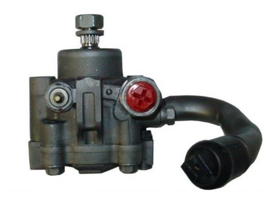 Bomba de direção assistida GKN ref. 53626