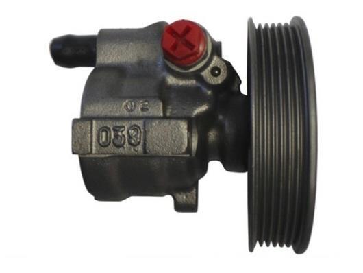 Pompe de direction assistée (Servo direction) GKN ref. 53631