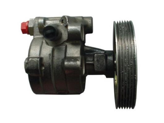 Pompe de direction assistée (Servo direction) GKN ref. 53633