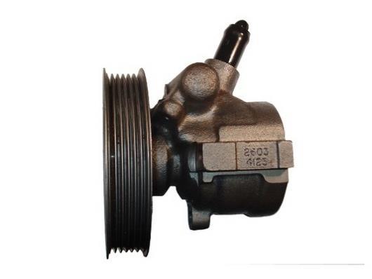 Pompe de direction assistée (Servo direction) GKN ref. 53637