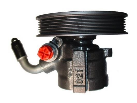 Pompe de direction assistée (Servo direction) GKN 53639