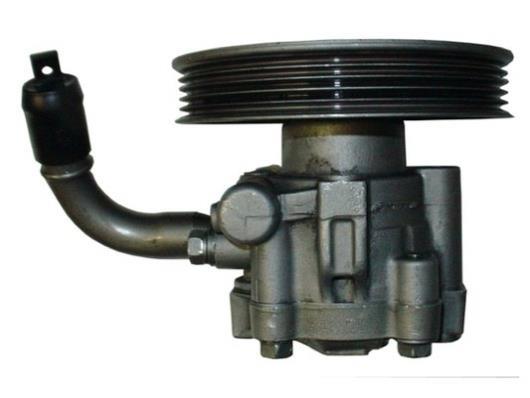 Pompe de direction assistée (Servo direction) GKN ref. 53644
