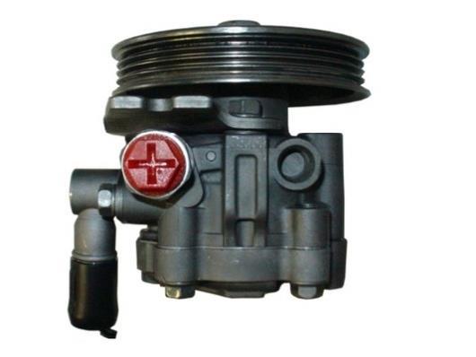 Pompe de direction assistée (Servo direction) GKN ref. 53645