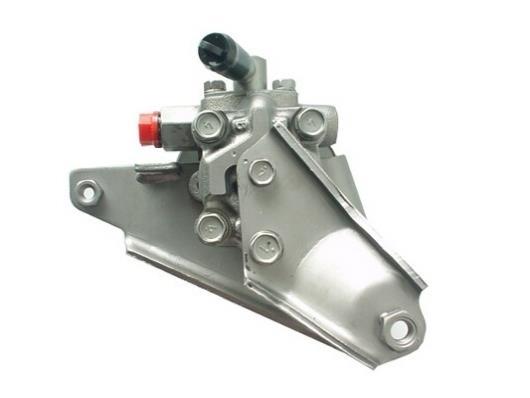 Bomba de direção assistida GKN 53646