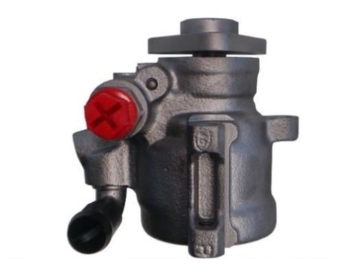 Pompe de direction assistée (Servo direction) GKN 53653